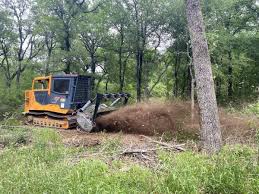 Underbrush Removal